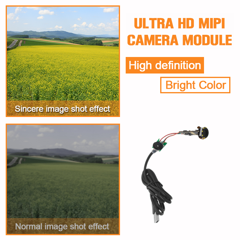 5MP オートフォーカス - 4LED 調光可能な内視鏡カメ - Endoscope Inspection Camera のレビューと価格