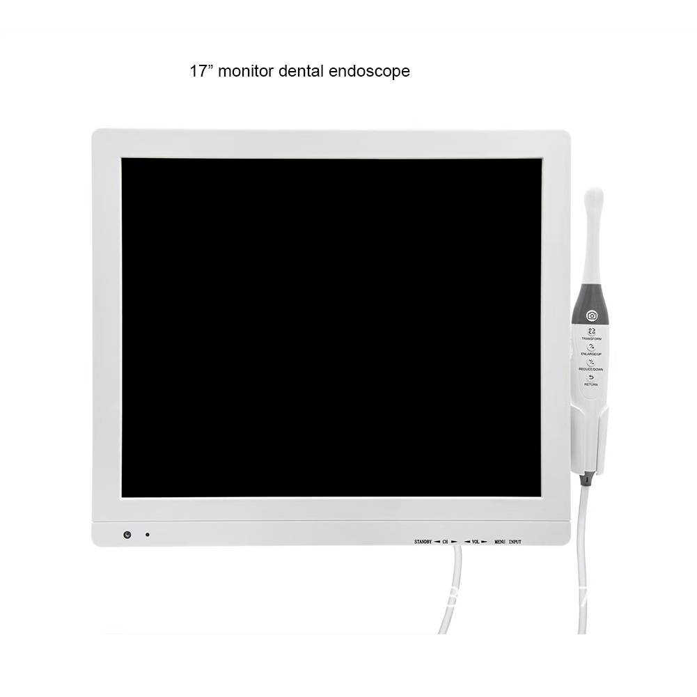画面付き歯科用口腔内カメラ、医師用歯科内視鏡、歯の検査、ペッ - Endoscope Inspection Camera のレビューと価格