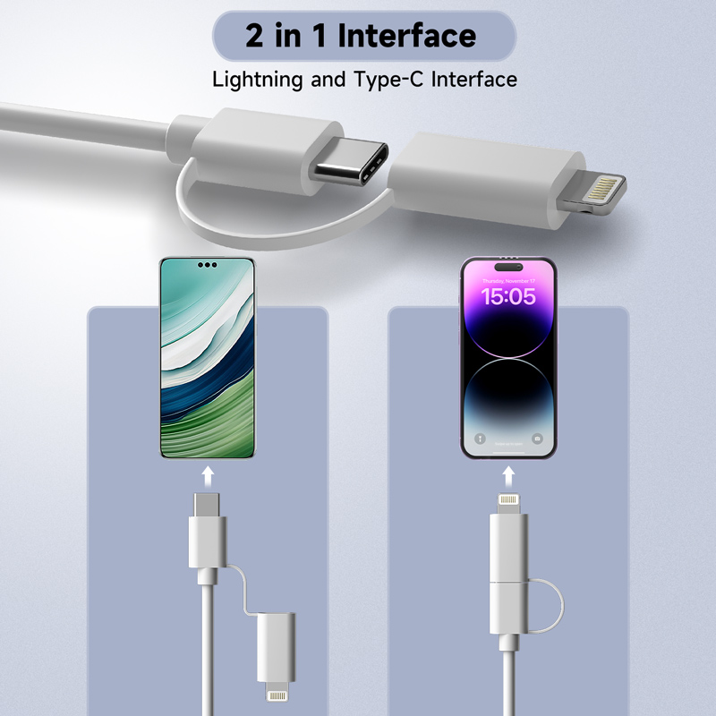 Type-C/iPhone対応 2 in 1 口腔内カメラ  - Endoscope Inspection Camera のレビューと価格